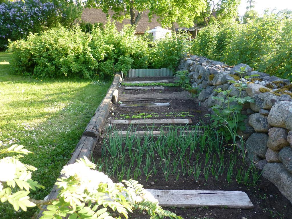 Jurna Recreation Farm Upa Exterior foto